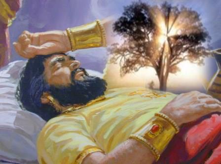 WhatsApp Image 2025-05-21 at 23.58.07